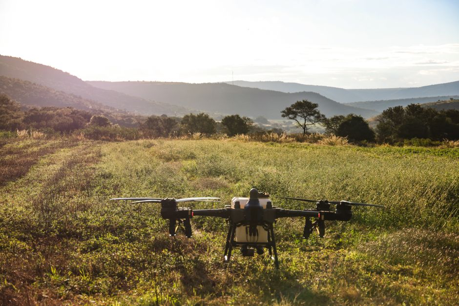 Drones for Forestry Mapping: Applications and Advantages
